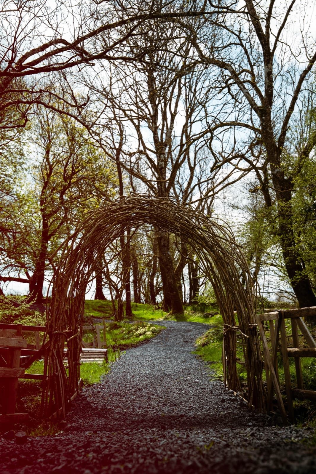 Chapter Five - A Permanent Home